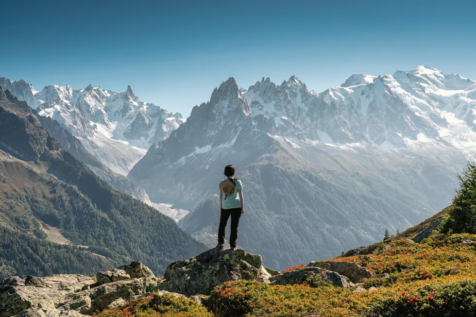 Billede af Franska  Alps 