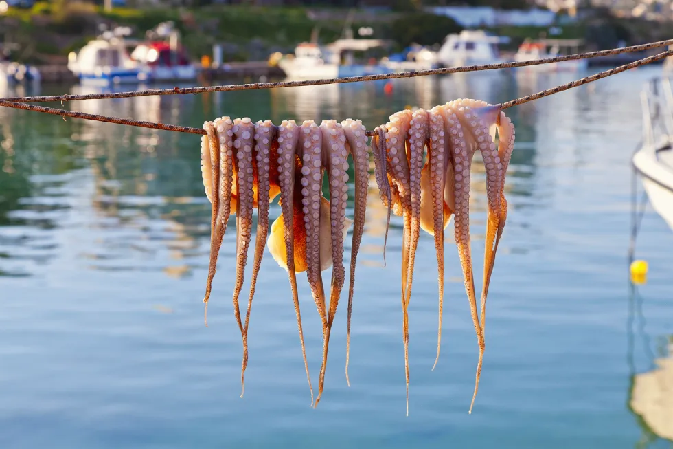 God mad og stille strandliv i Pefkos 