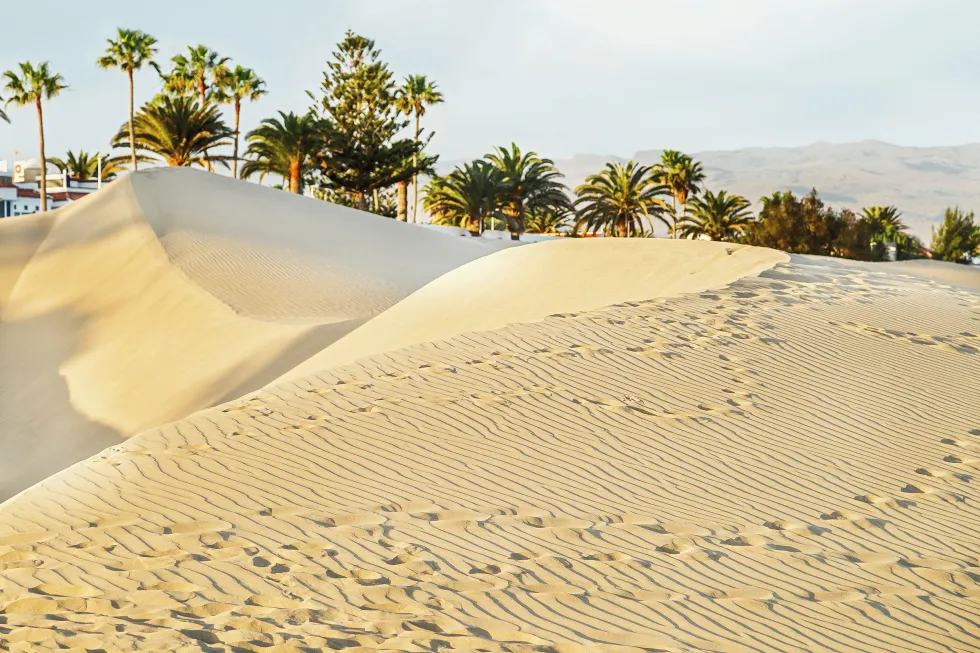 Maspalomas' klitter kaldes ofte Lille Sahara 