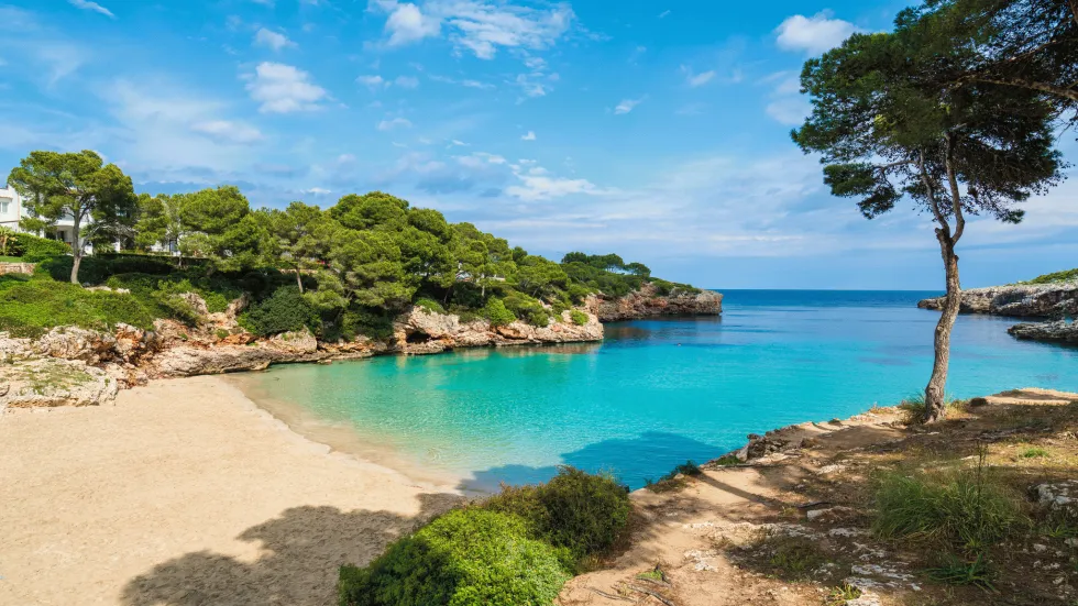 Cala d'Or 