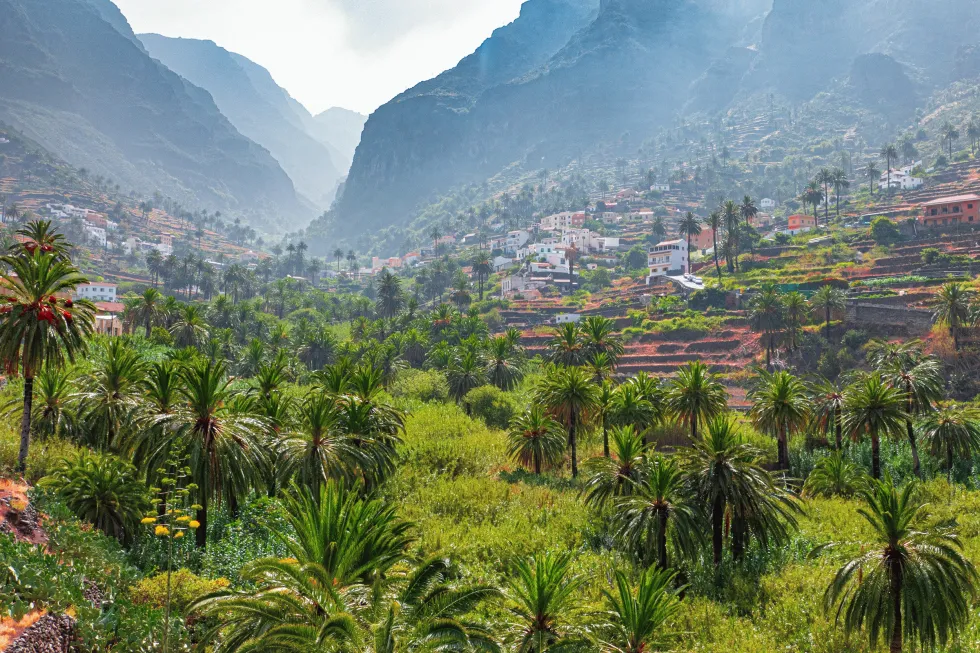 Billede af La Gomera 