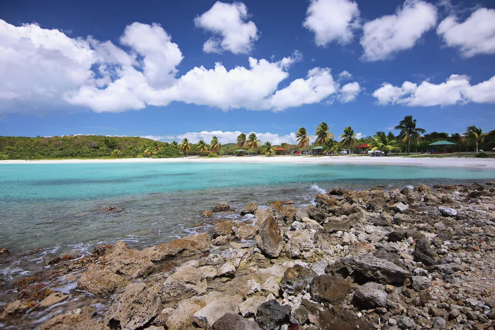 Billede af Vieques Island 